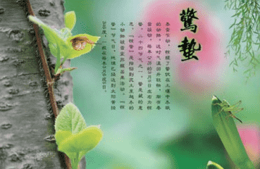 bsports官方入口2025最新版电影化叙事分镜
