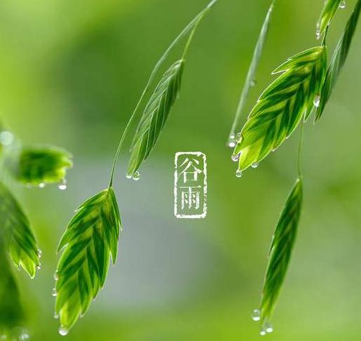 小熊洗车APP