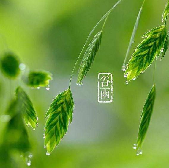 kaiyun体育app登录入口2025版像素世界场景