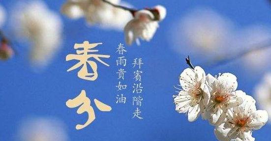 喜运28appV4.6专业版