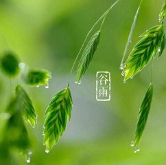 贵州药材APP