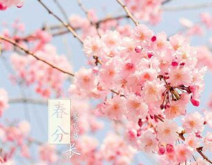 PP电子appV6.8专业版