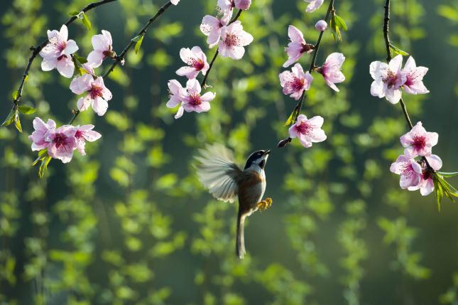 evasion8完美越狱工具