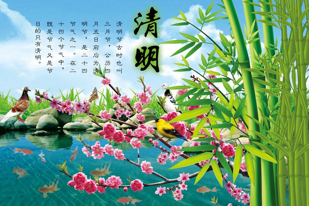 eman安卓版