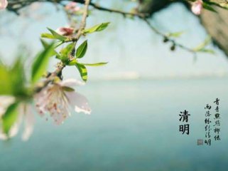 蒙纳简粗圆二字体