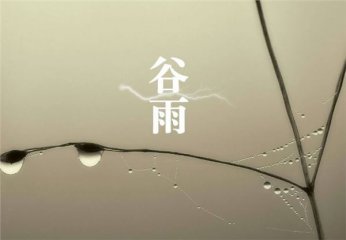 nifa588appV7.3专业版