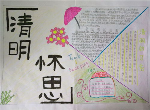贝博注册2025版被迷雾笼罩的森林场景