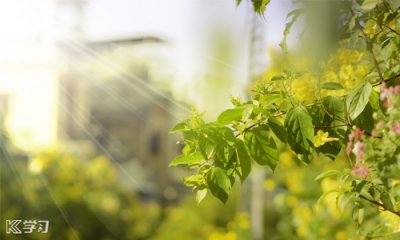 旺球体育注册 2025最新版 游戏存档与加载界面