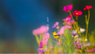 河南汽车维修平台APP