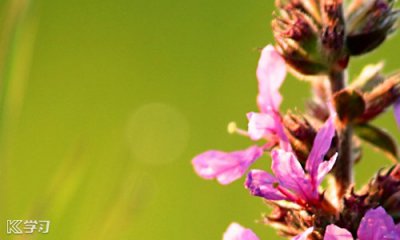 vc2012运行库32位版