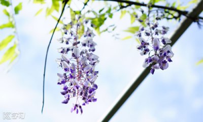 河南汽车维修平台APP