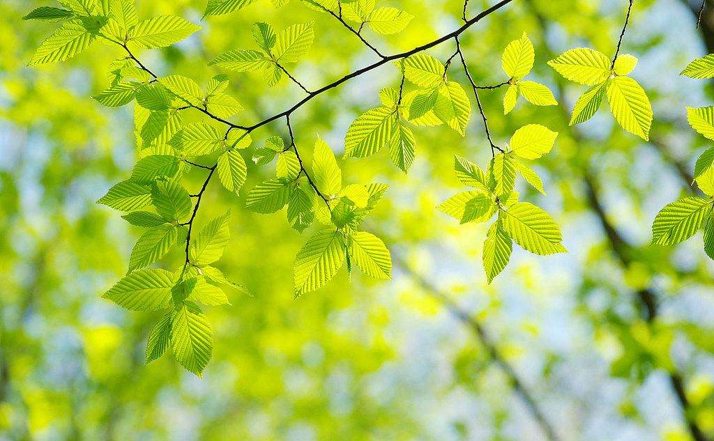 河南汽车维修平台APP