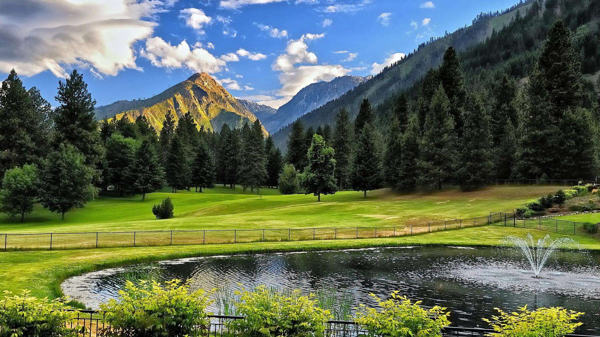 CSDN博客提取工具