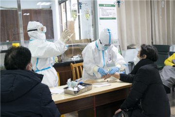 凤凰天机网appV9.3专业版
