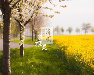 kaiyun网页版登陆入口V3.7专业版