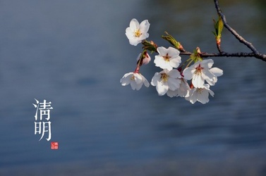 小熊洗车APP