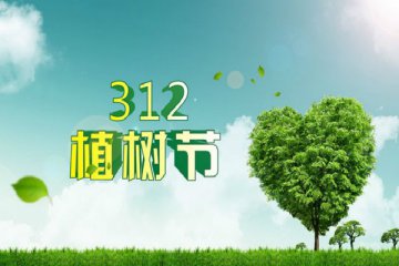 ballBETV2.5专业版