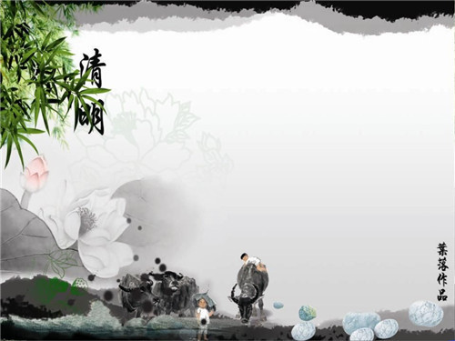 贵州药材APP