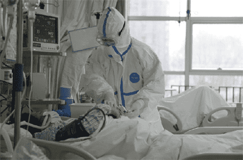 荒野之地2新大陆2025版角色驯服生物画面