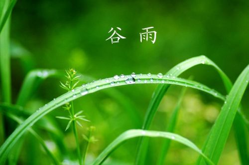 开云安全最新版本V1.2专业版