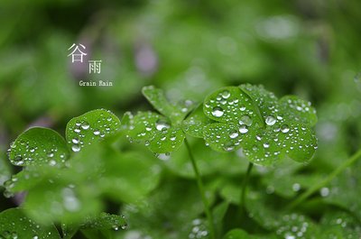 河南汽车维修平台APP