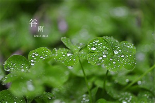kaiyun体育app官网赛事直播2025新版装备与技能界面