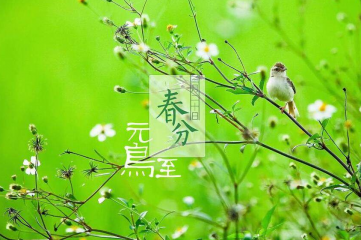 多宝运动appV9.2专业版