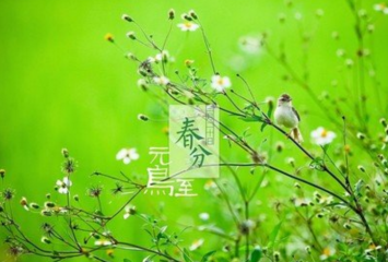 js09金沙登录入口app安卓版二维码