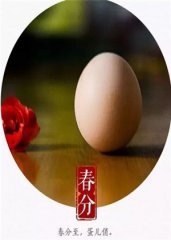 IE探长(浏览器记录查看工具)