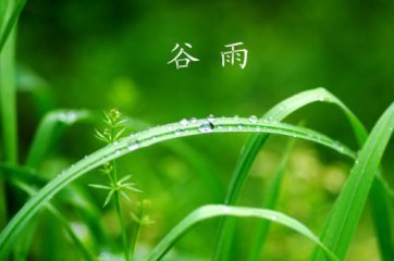 NEXapp