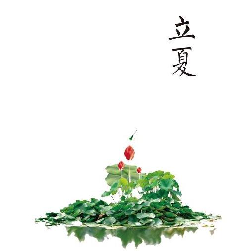 风行播放器电脑版