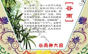 小熊洗车APP