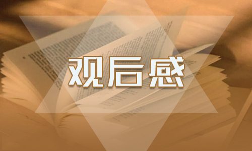 云开体育app下载官网最新版V6.3专业版