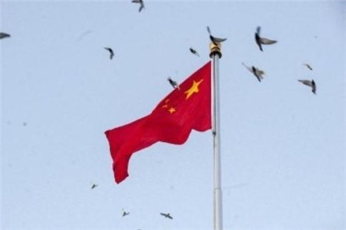 澳门娱场城app