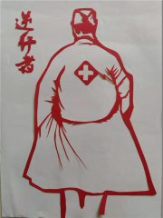狸窝dvd转换器绿色版