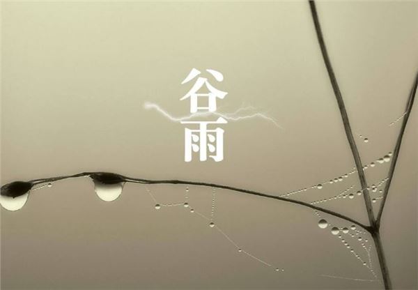 bz95533cc注册V6.6专业版
