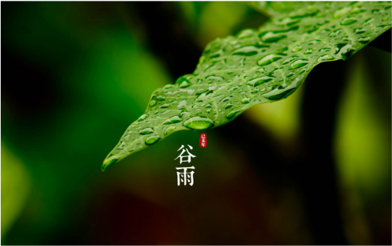 哇噻秀