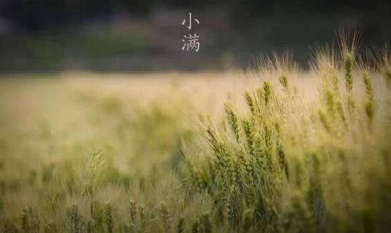 小熊洗车APP