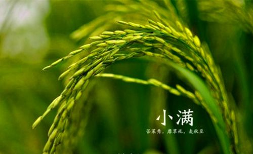 kaiyun体育官网登录地址2025最新版团队副本战斗画面