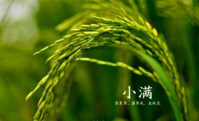 天九牌app安卓版二维码