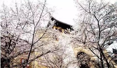 爱普生r350清零软件