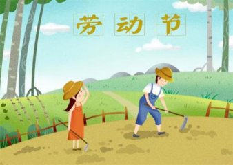 星空appV2.2专业版