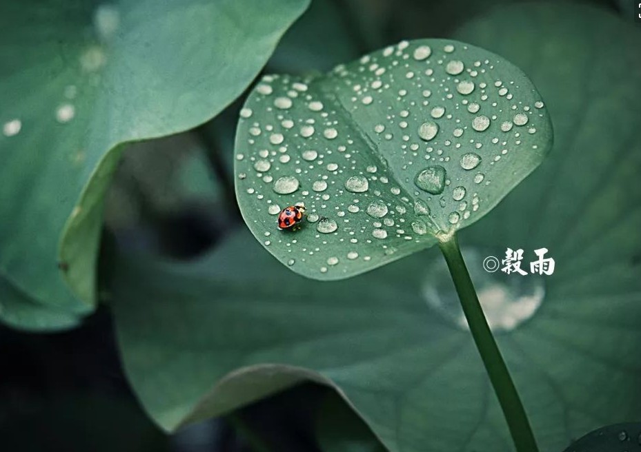 开云app网站登录V7.6专业版