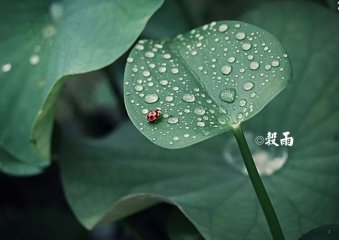 超研泽超黑体繁体