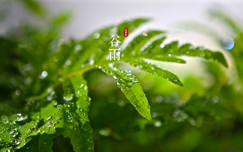 音频cd刻录机
