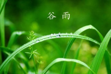 永乐国际体育娱乐官网V6.1专业版