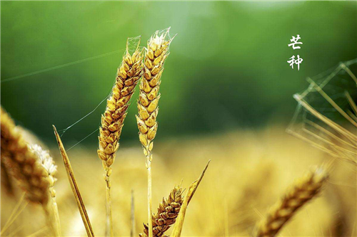 pptv网络电视去广告补丁最新版