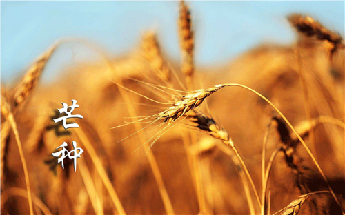 小熊洗车APP