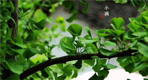 恋爱重播 恋愛リプレイ