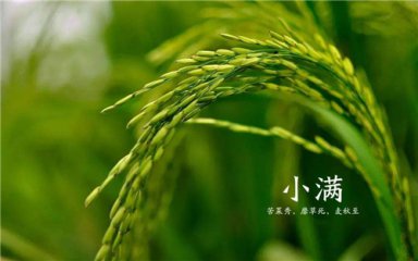 河南汽车维修平台APP